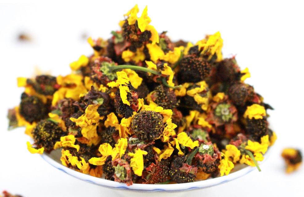 罕见的高山雪莲雪菊,四川丹巴雪菊