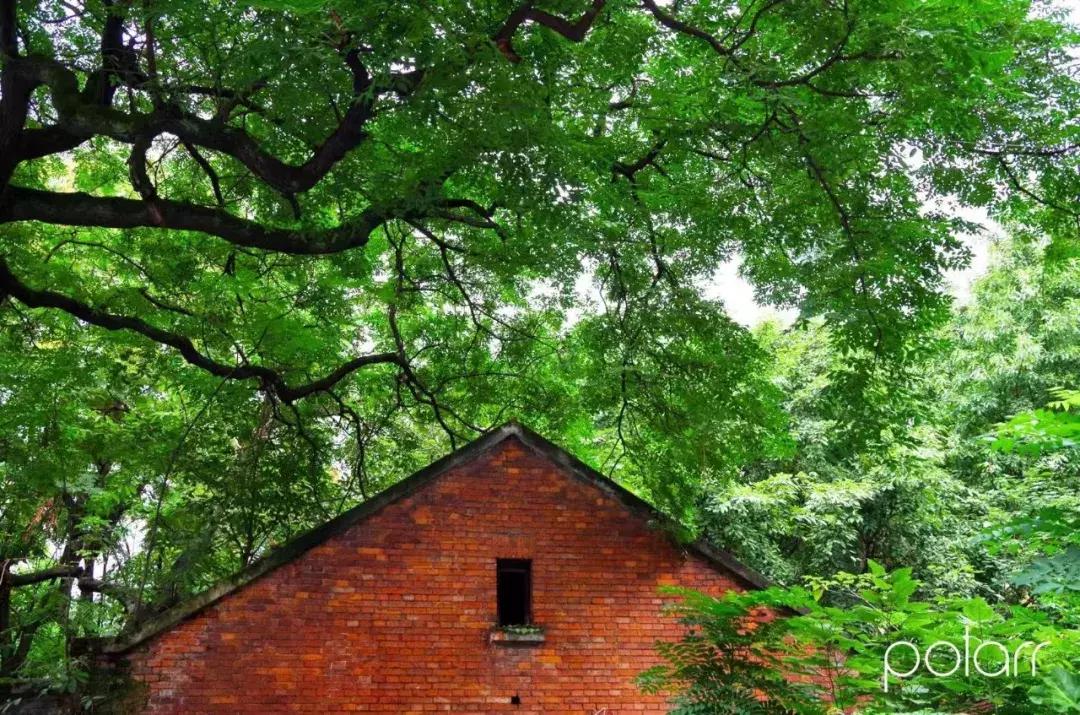 铜元局记忆视频,铜元局记忆照片