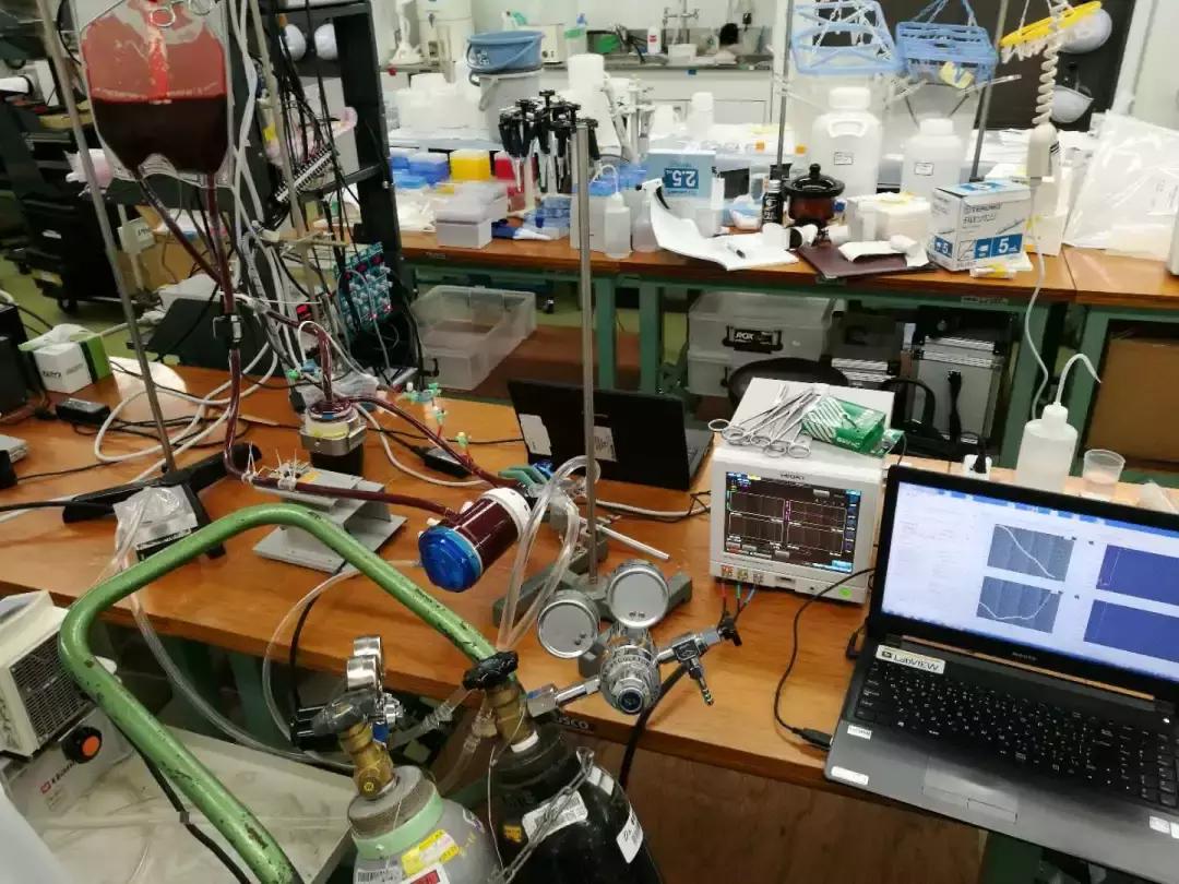 心脑血管康复仪器,心血管疾病检测技术进展