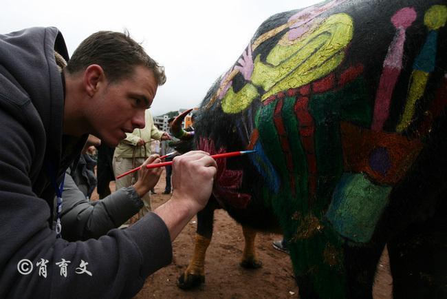 水牛身上画画,水牛身上画了牛郎织女画面
