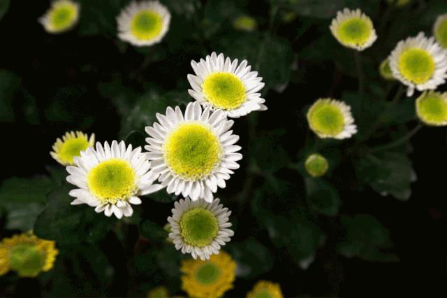 自拍达人全景,南宁自拍拍照博主