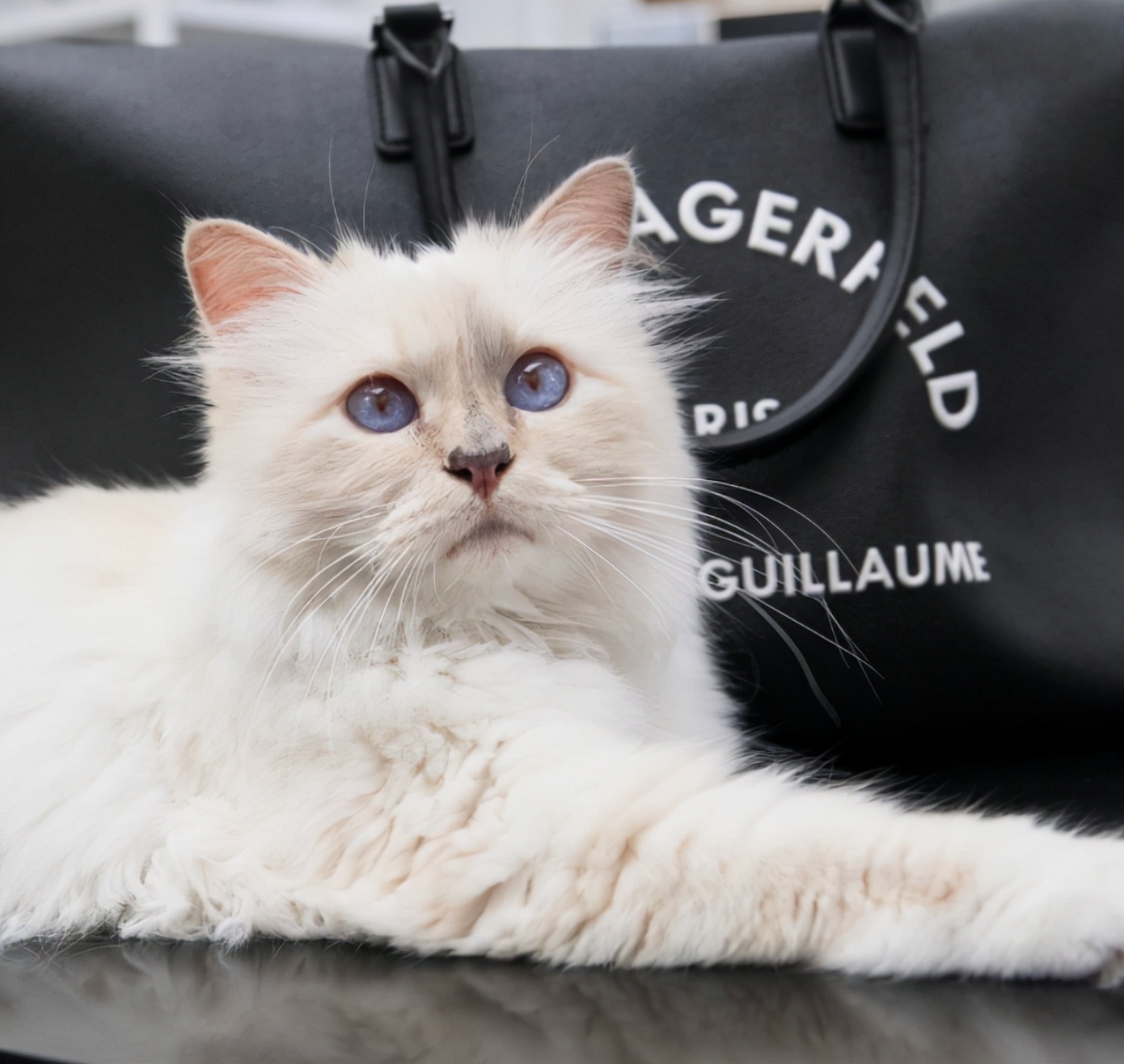 老佛爷卡尔生平,老佛爷卡尔为什么叫老佛爷