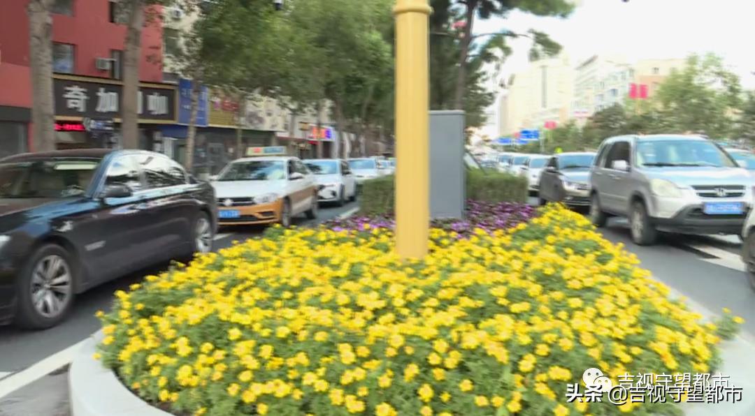 无证网约车没载人被抓怎么处理,黑网约车非法营运