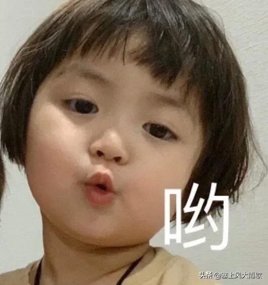 最新笑料合集，哈哈哈哈哈哈哈哈哈哈哈奇怪的知识又增加了