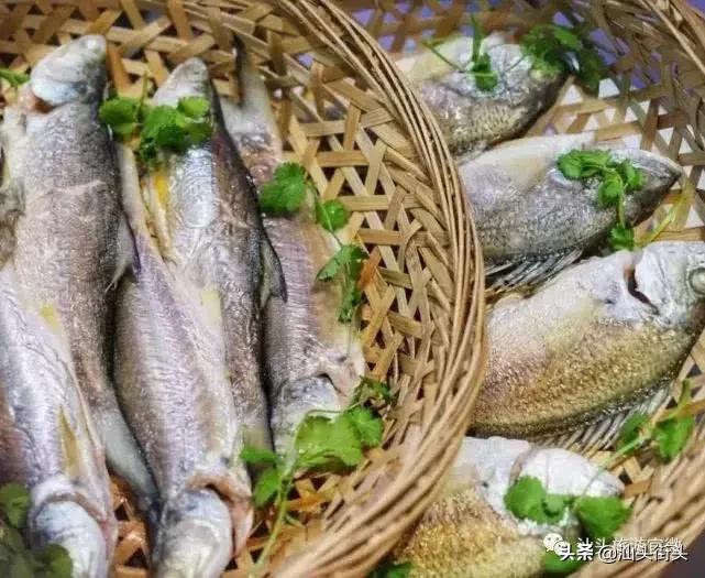 汕头的名片,汕头新名片