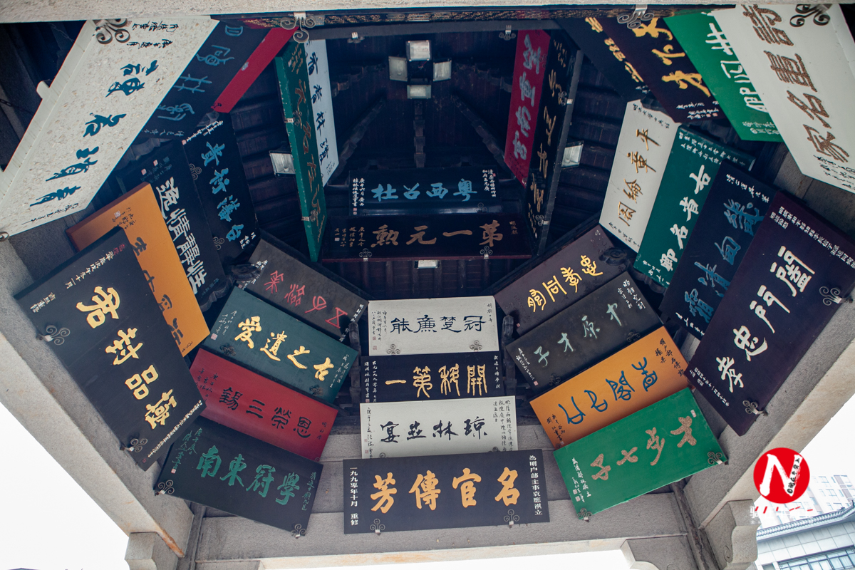 兴化看油菜花一日游,兴化千亩油菜花旅游