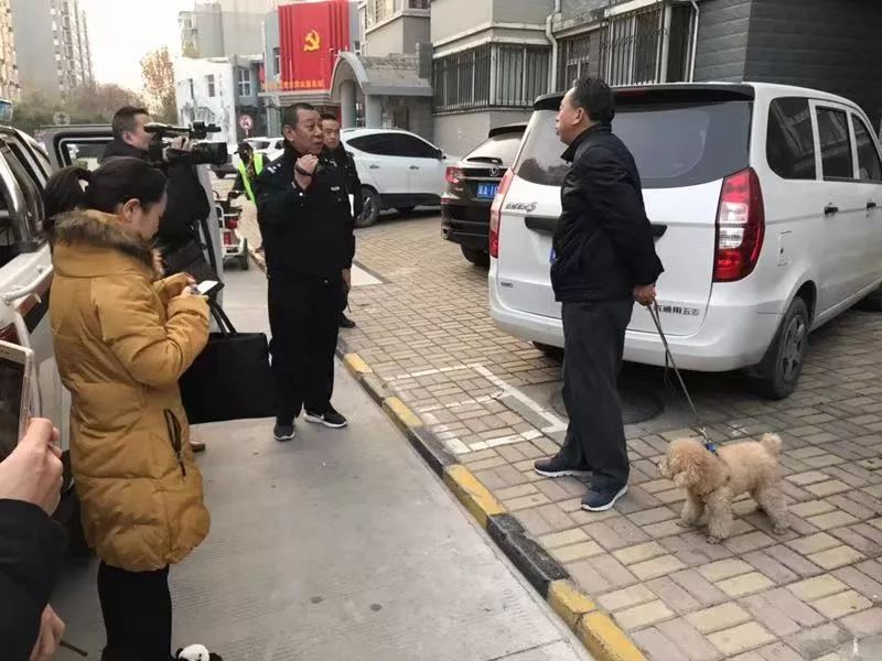 文明养犬遛狗不牵绳违法,石家庄遛狗不拴绳向哪个部门投诉