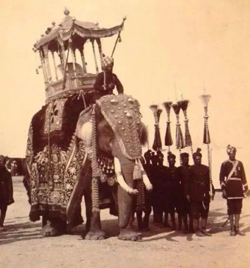 西班牙舞女成为印度王妃,西班牙舞女18岁成为印度王妃