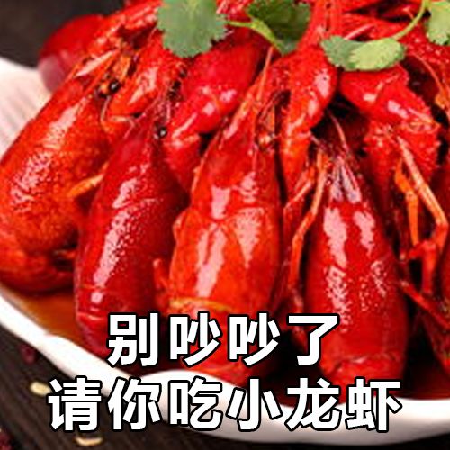 各个地区表情包排名,各省人最爱发的表情包