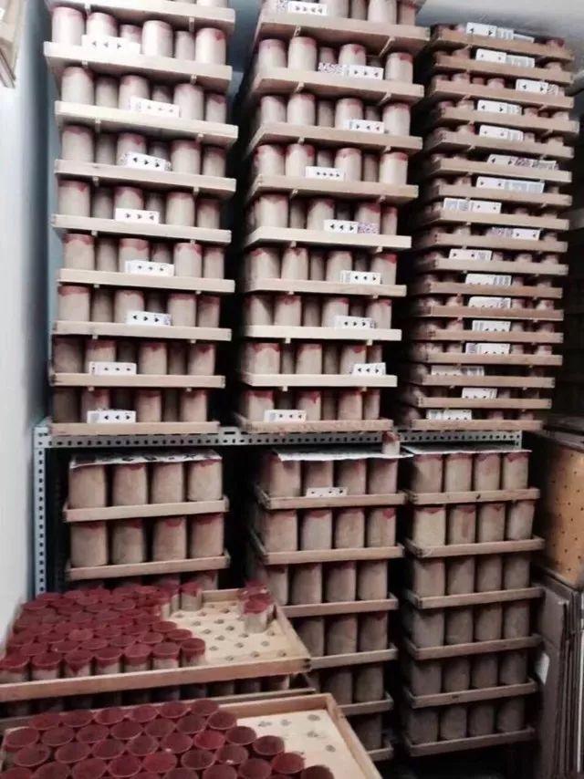 百艺杂谈,教你鸣虫界的八句“黑话”