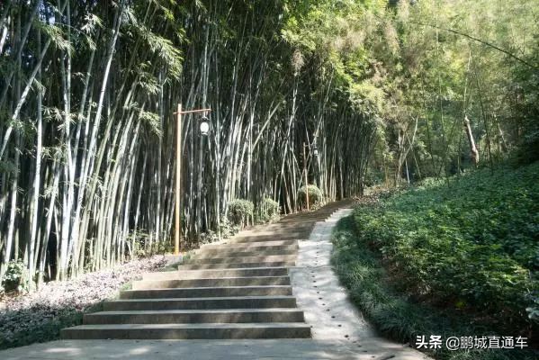 深圳小众主题公园免费,深圳所有景区
