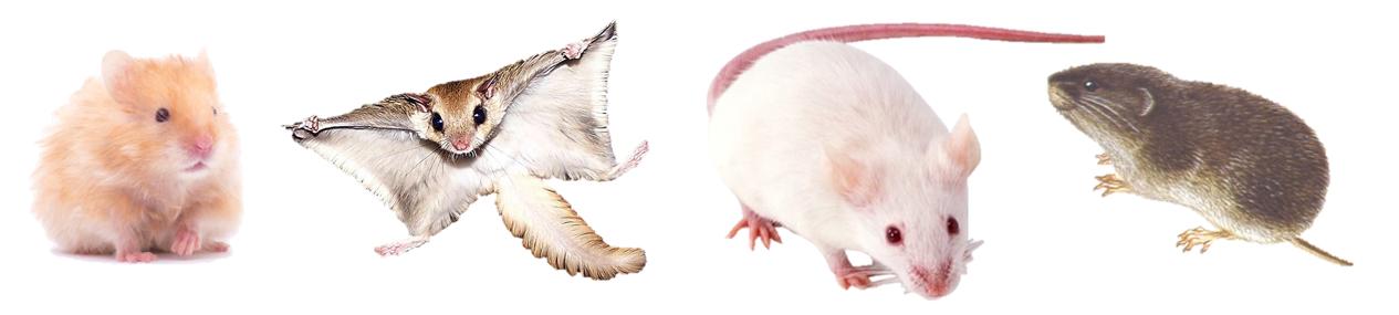 心药讲的什么,心药语音视频