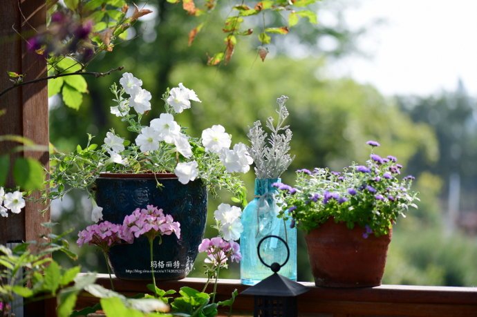 花园里防蚊子,在花园里劳作