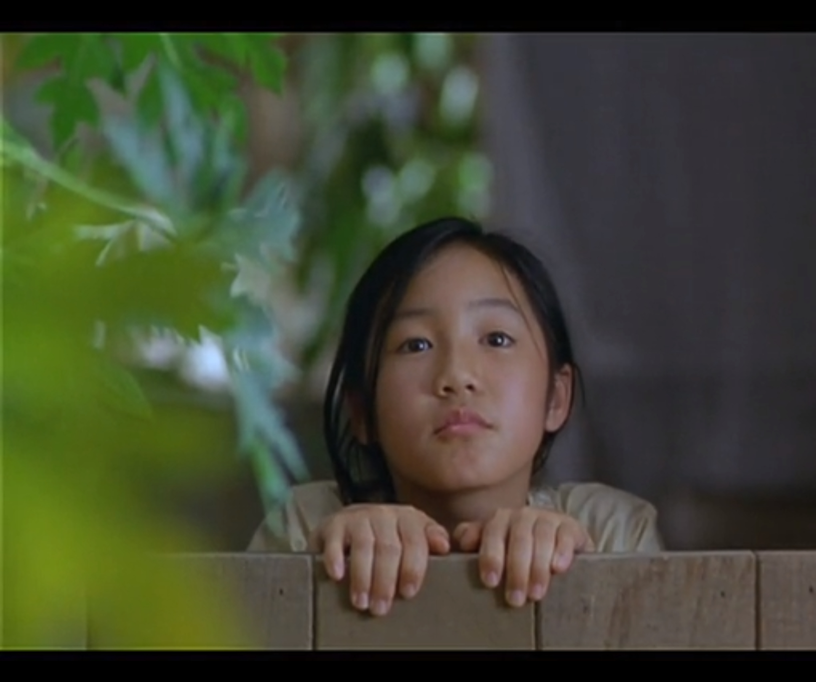 青木瓜之味影评分析,青木瓜之味阅读题答案