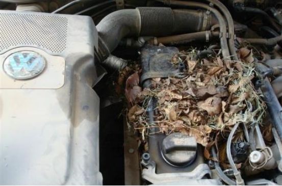 鍗婁环涓瀷suv,鍗婁环suv杞﹀瀷鎺ㄨ崘