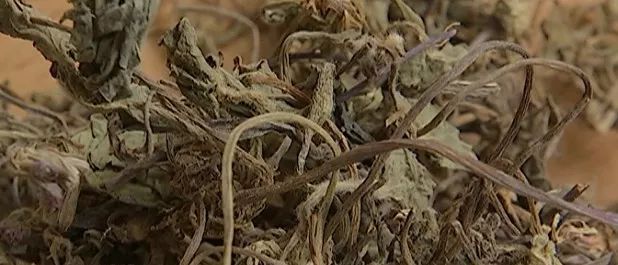 夏季护肝祛湿汤配方大全,肝不好喝什么汤护肝养肝