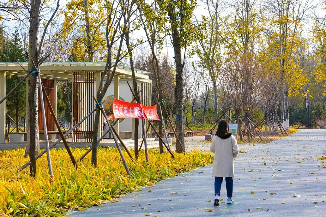 北京新开40个公园在哪里,北京十佳公园