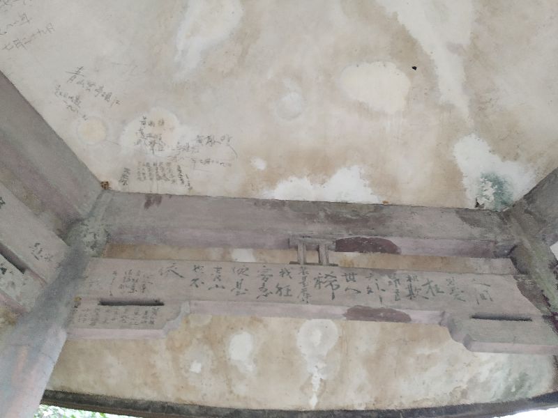 杭州市周末自驾游去哪里好玩,杭州出发周末旅游攻略