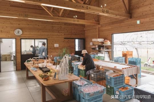 日本自驾游需要注意什么,日本自驾最新