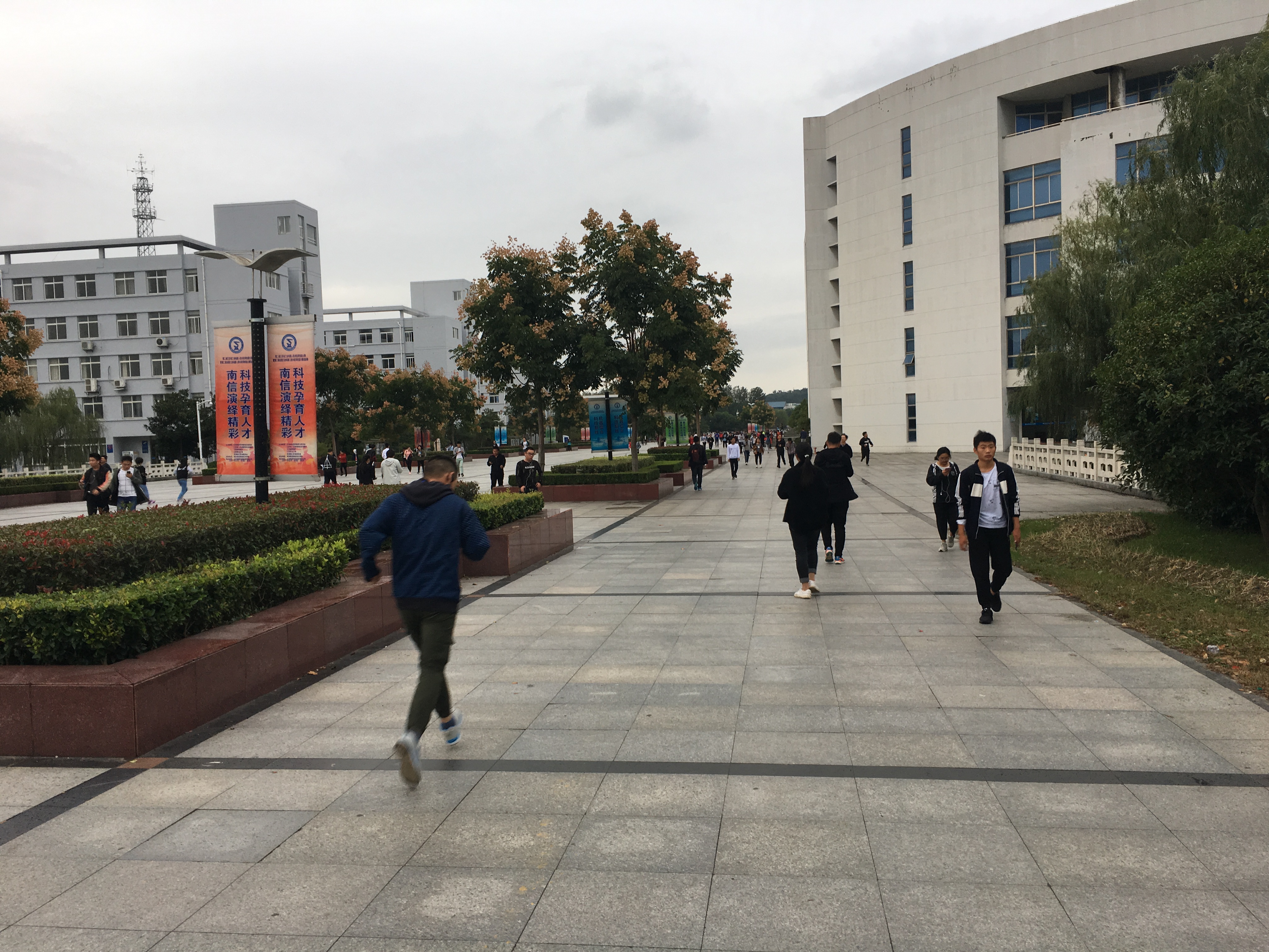 被教育部评为优质校的专科学校,被教育局认可的大学