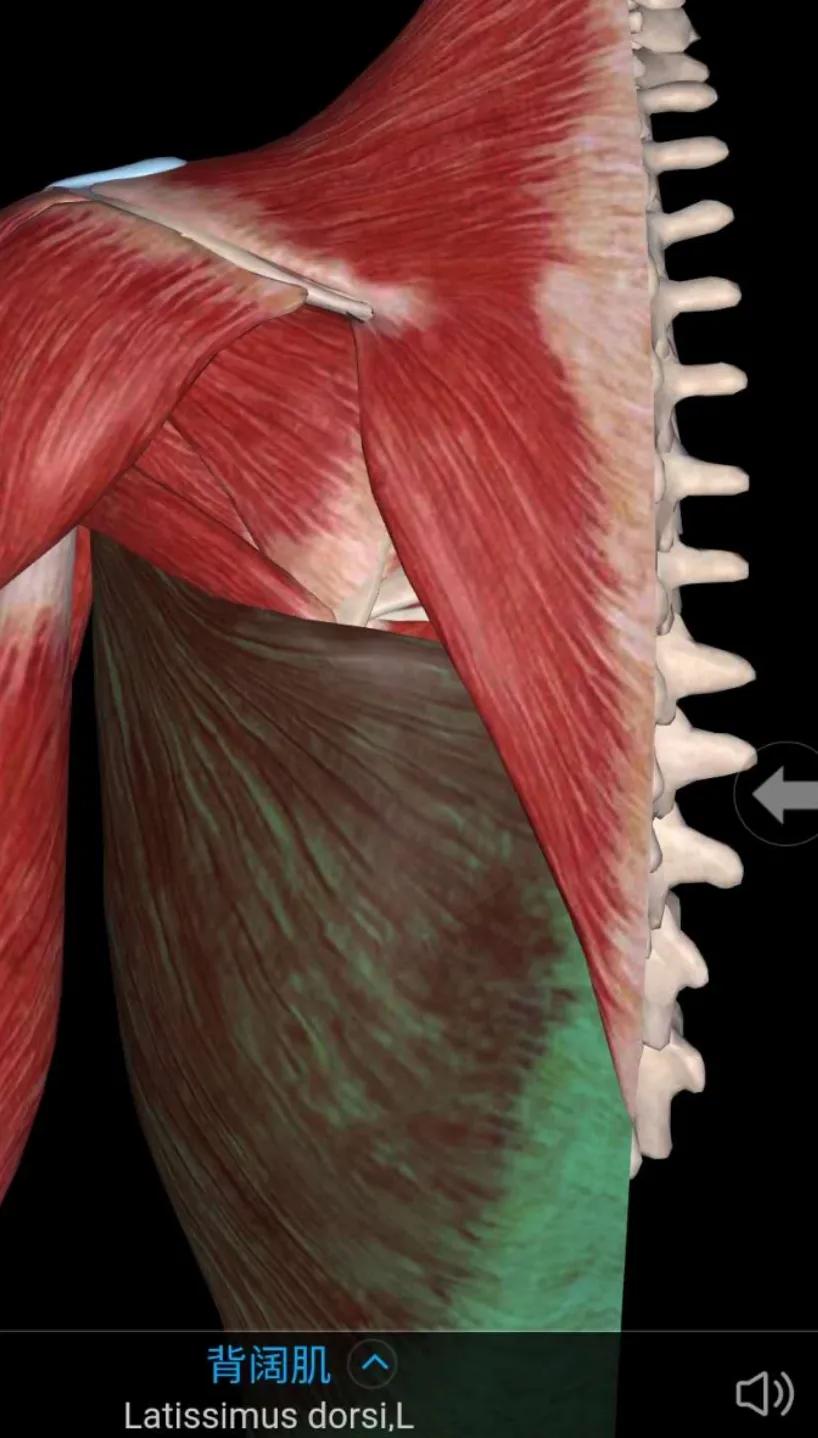 中医不是慢郎中第一集,中医不是慢郎中央视十套