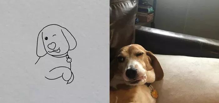 你和大触绘画的区别：一看就会一画就废，这波动物简笔画太形象了