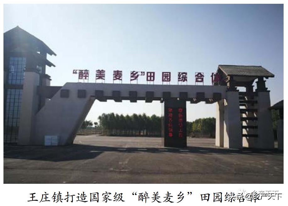 浚县王庄镇简介,浚县王庄镇乡村振兴项目