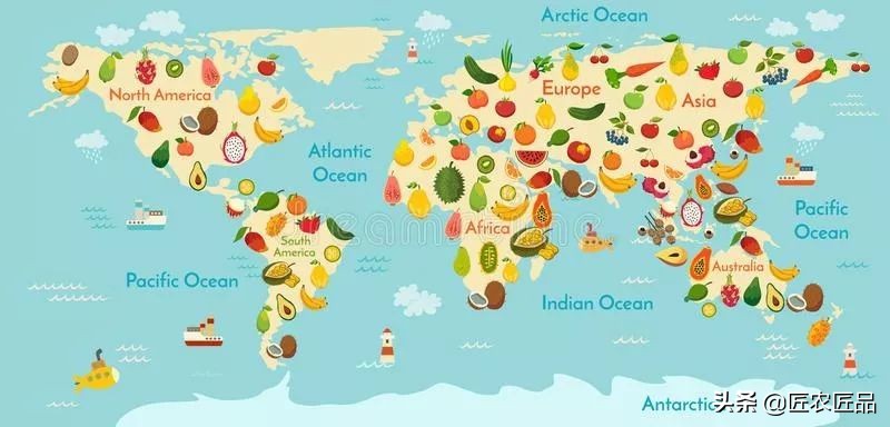 你不知道火龙果的小知识,火龙果的秘密揭秘