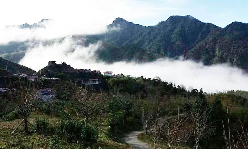 老龙头的传说故事,老龙山传说