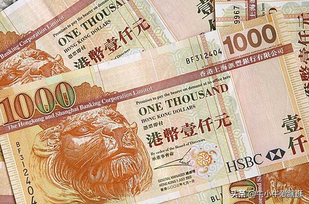 港珠澳攻略自由行,港珠澳深旅游攻略