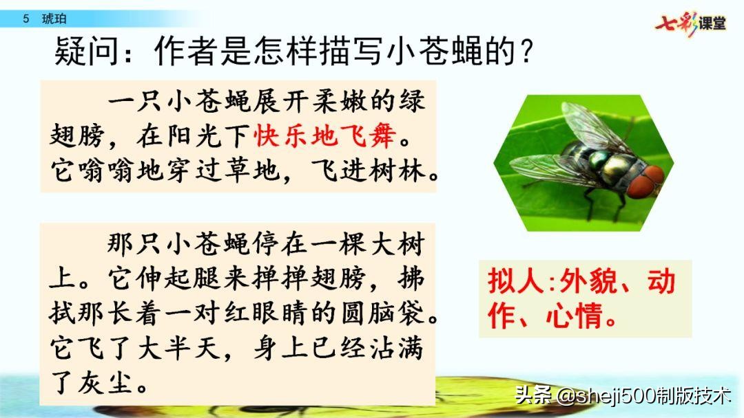 四年级语文下册第5课琥珀知识点,语文书四年级下册琥珀预习分段