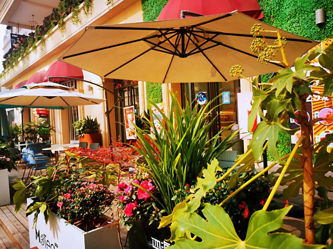 就地过年的新气象,原来就地过年也可以很欢乐