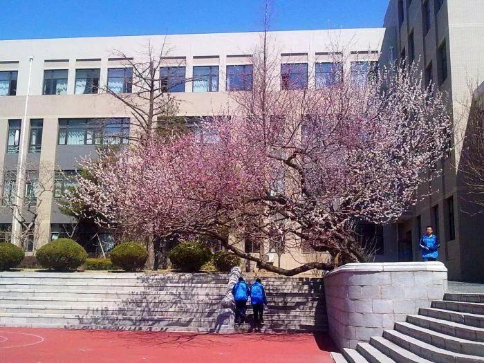 大连市第十三高级中学,大连市第八中学在辽宁省排名