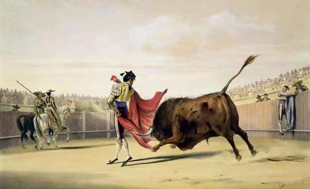 布卡西语丨这项运动，有人奉为“国粹”，有人喷它为“*杀屠**”