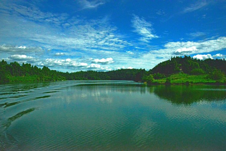 涔愯嚦鑽疯姳鎽勫奖浣滃搧娆ｈ祻,涔愯嚦鍗拌薄鎽勫奖