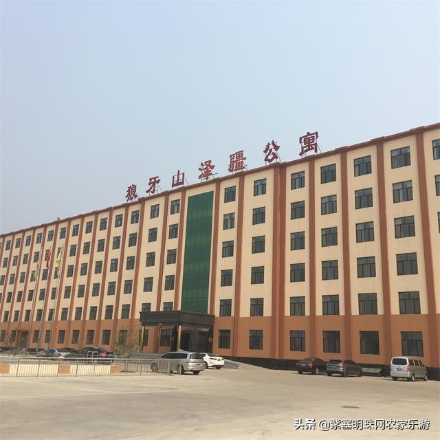 全靠8根钢柱支撑的玻璃栈道你敢挑战吗？保定狼牙山泽疆公寓酒店