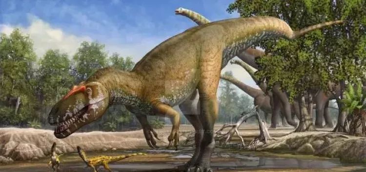 套在身上的纸箱恐龙怎么做,用纸箱做恐龙的做法视频大全