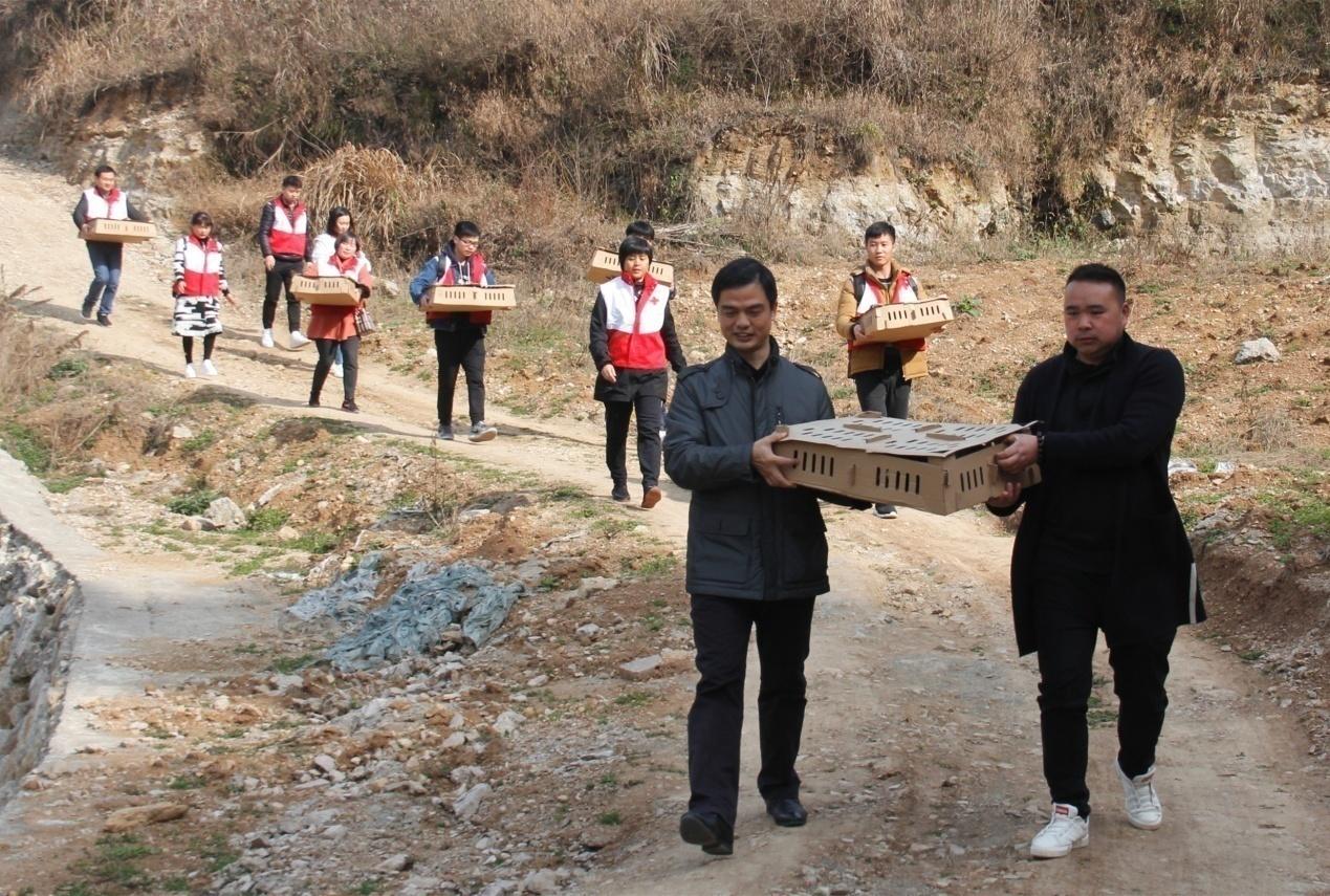 农村小伙养了十只黑鸡,回乡养本地黑鸡的90后小伙