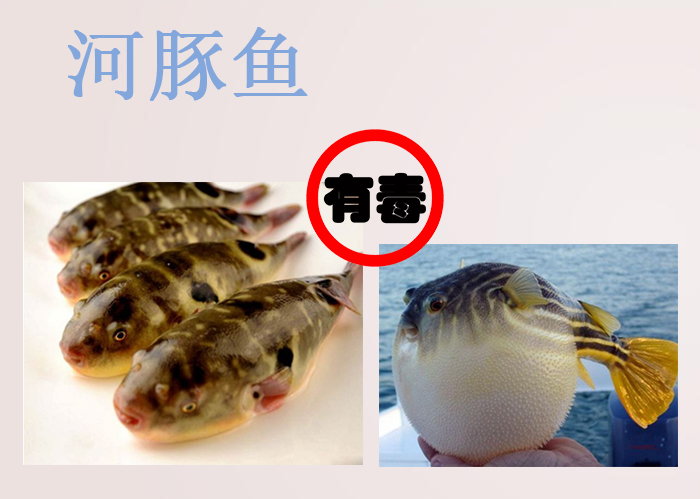 海南食物中毒,三亚吃东西食物中毒媒体曝光