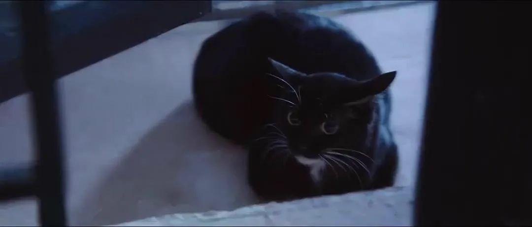 剧情超精彩电影国产,这是一部反转超多的国产神剧