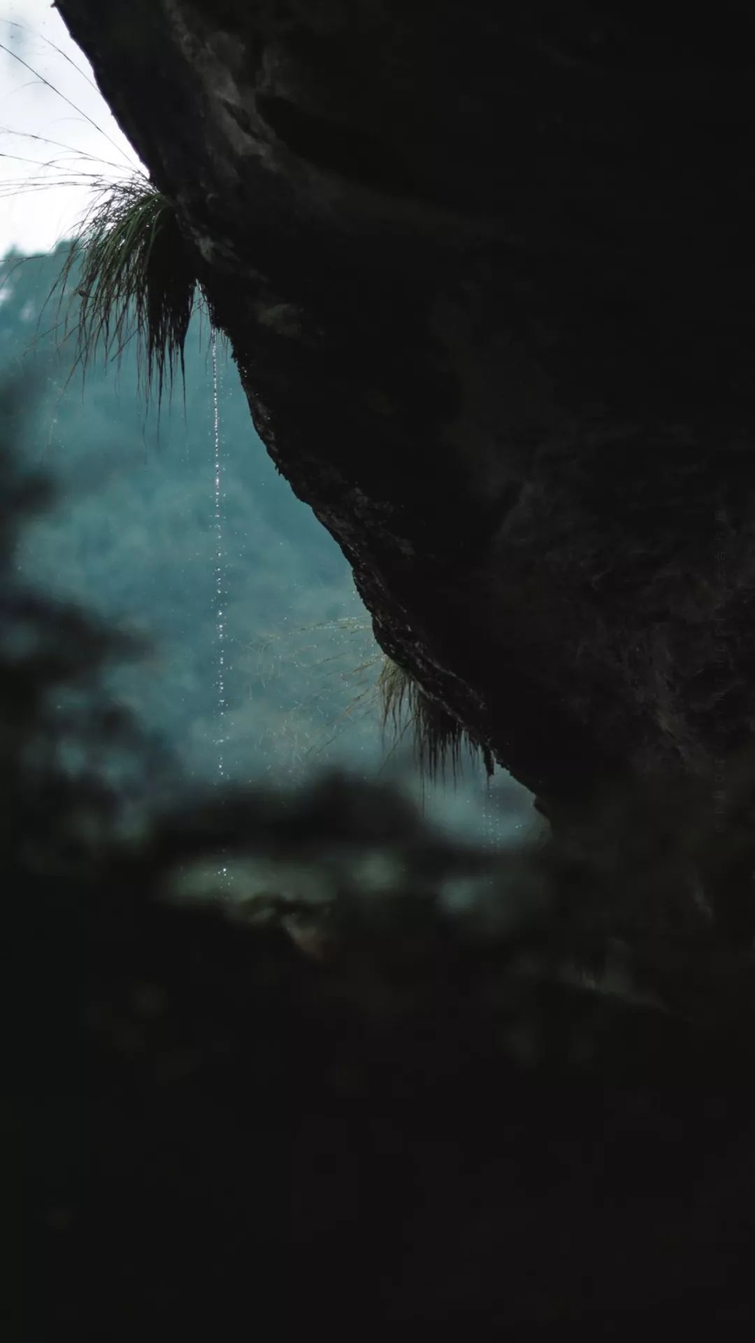 古代文人理想的诗句,古代文人雅士生活四艺