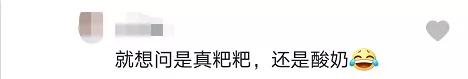 “屎到淋头”？嘴叼面包喂昆明海鸥大家最担心的事情发生了？