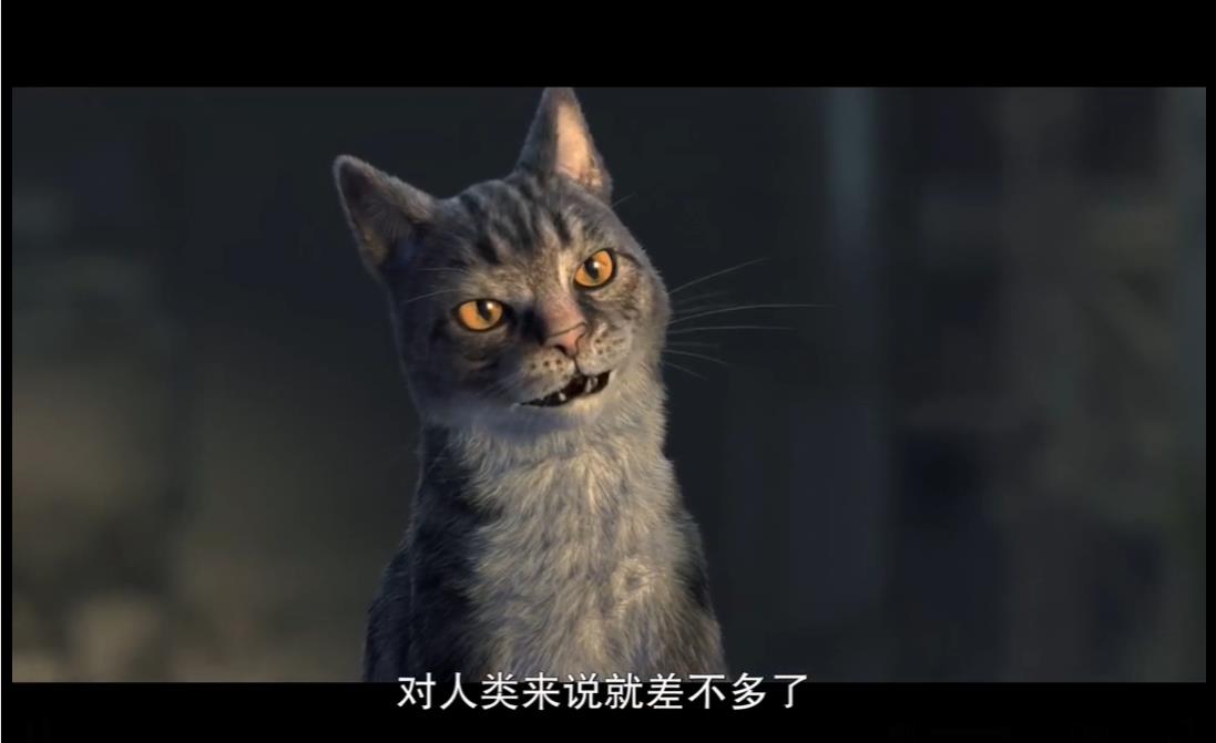 喵星人统治地球插画,喵星人统治地球第一步