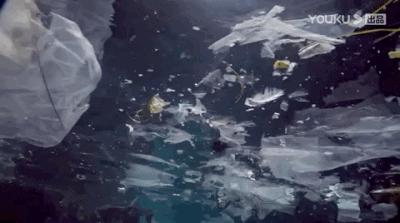 彭于晏我最需要的时候你在哪里,彭于晏我最需要他的时候他在哪里