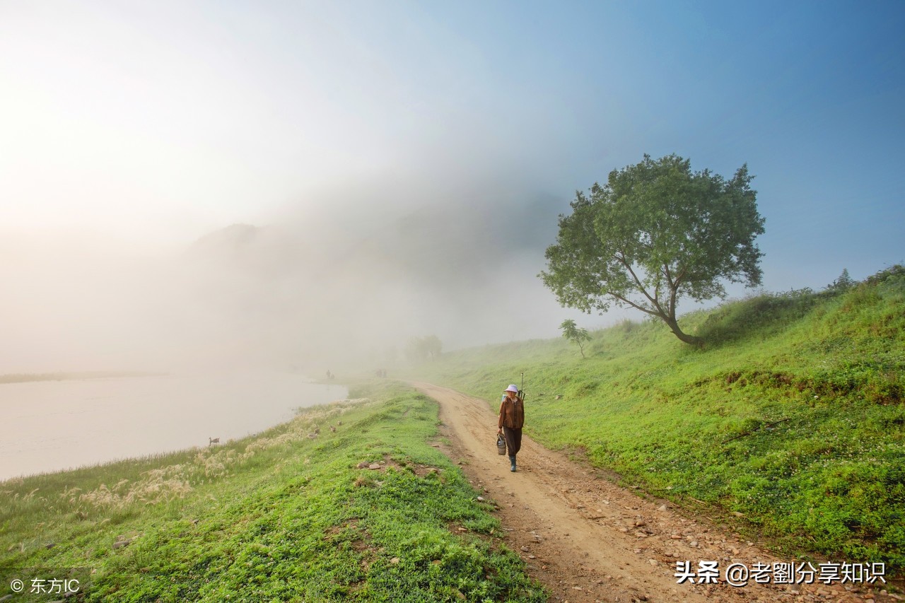 假期会学习:初中优秀作文赏析——《远方的呼唤》一题3篇