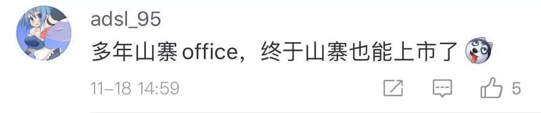 wps与微软office功能差异,wps与微软office份额