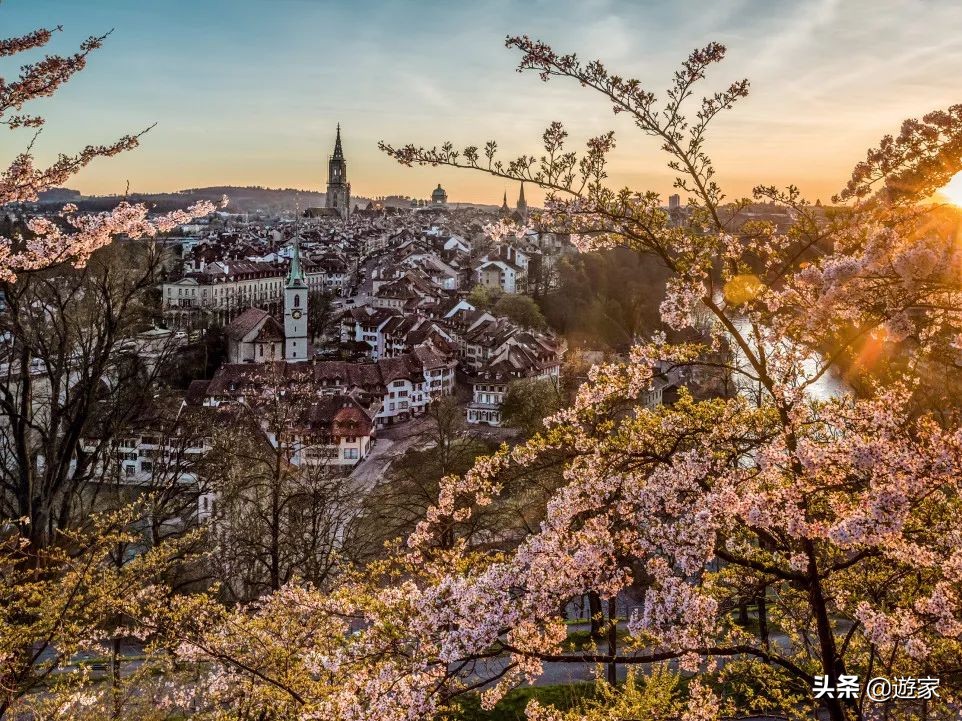 瑞士人竟然这么爱喝，拥有是世界遗产的葡萄园，作业还在靠手工