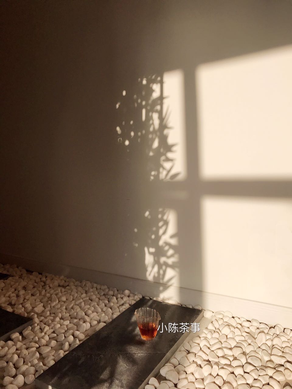 白茶叶如何防潮处理,白茶预防