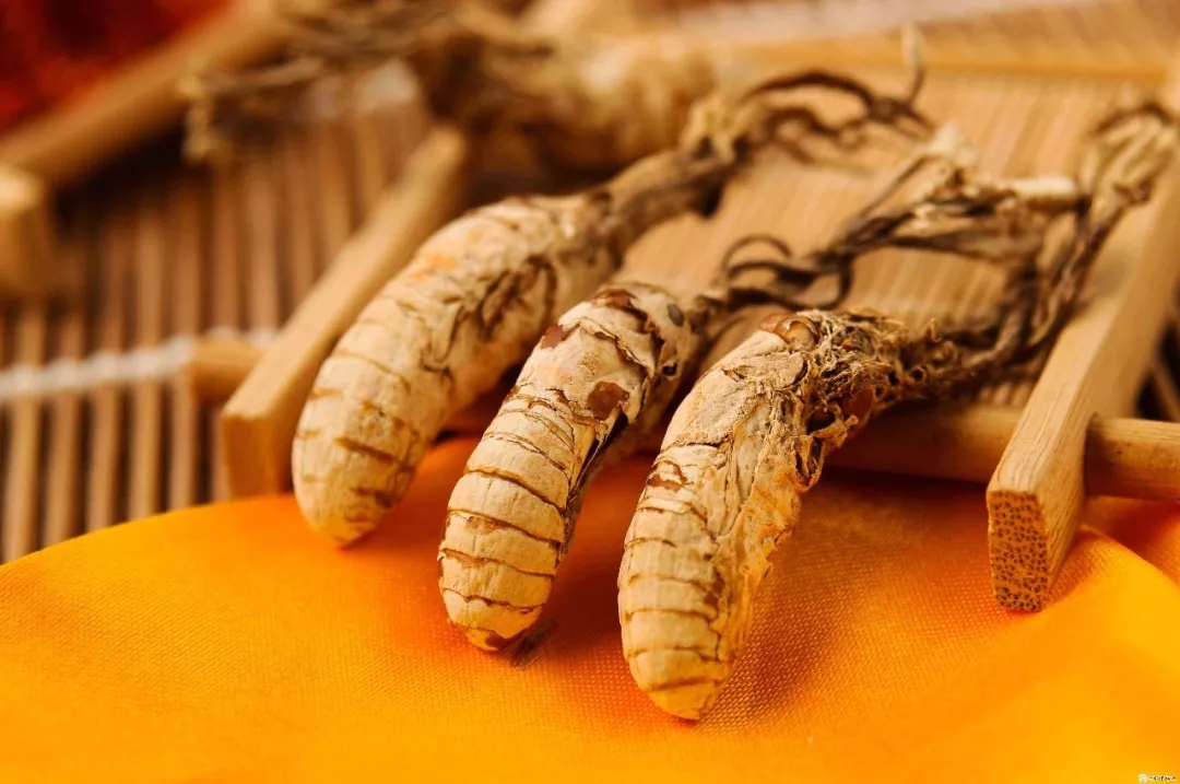 生在竹林中，去年1斤80元，如今已翻4倍，又有“冬虫夏草”走红？