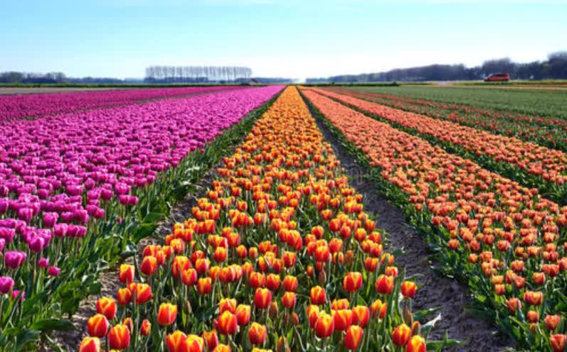 巨星传奇作品,巨星传奇系列